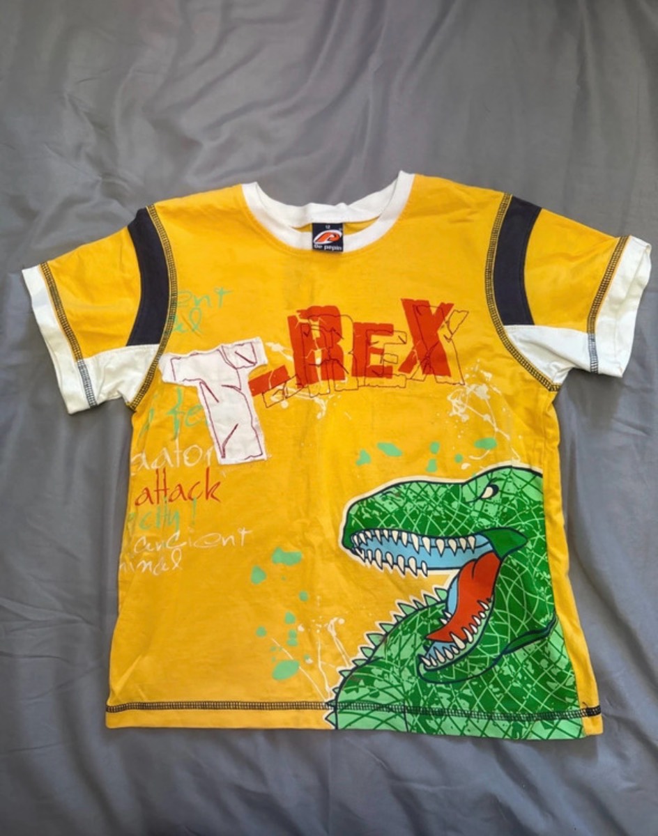 Boys T-Rex T-Shirt 12 YRS