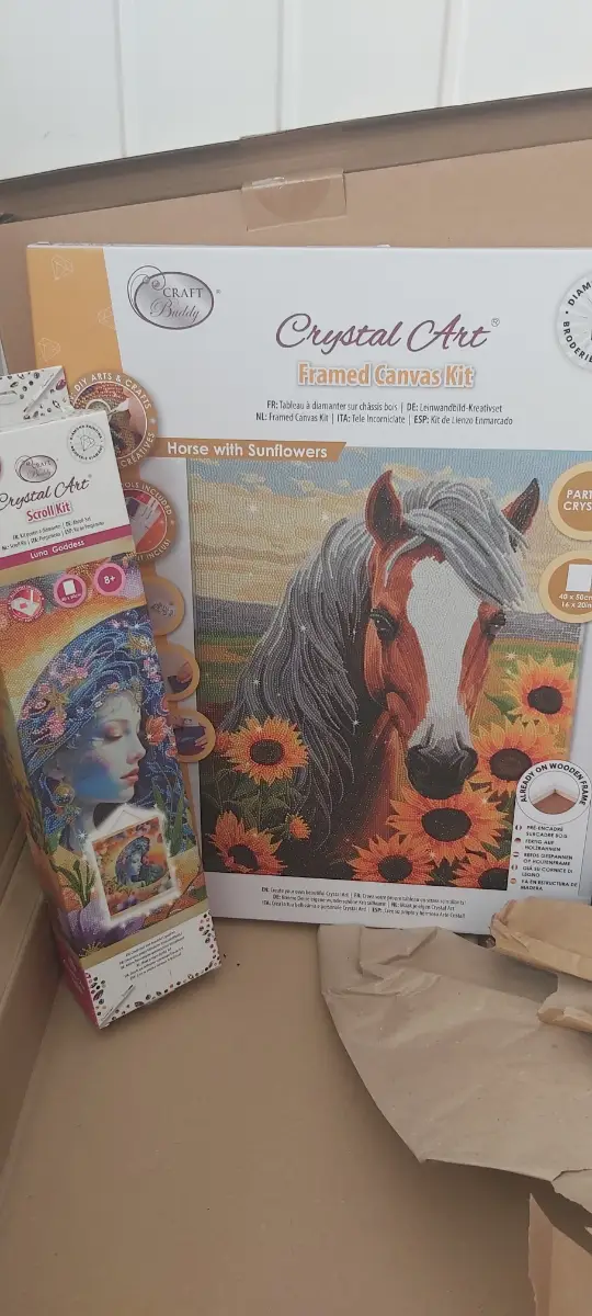 Craft buddy diamond art sets