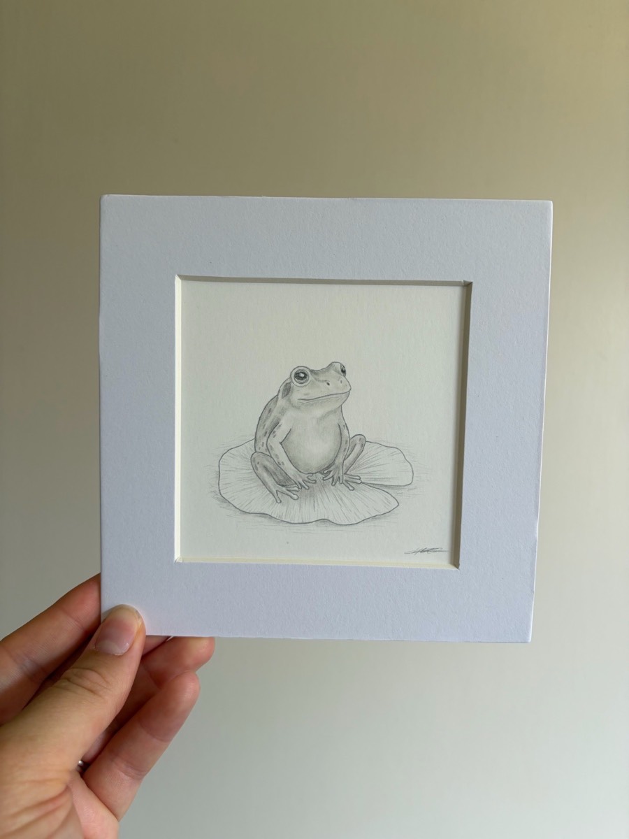 Frog on a lily pad drawing - 6x6 inch mounted art