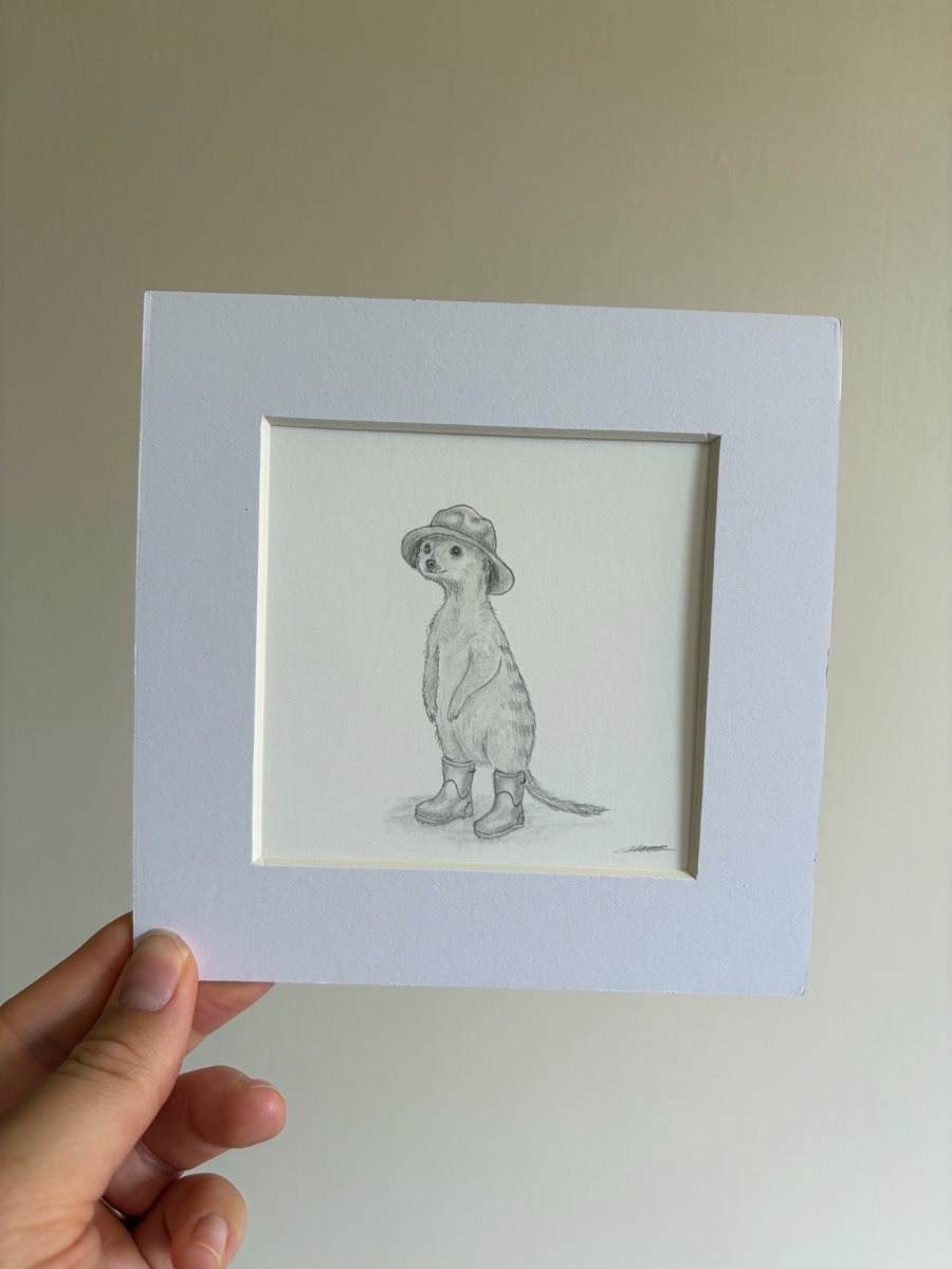 Rainy day meerkat drawing - 6x6 inch mounted art