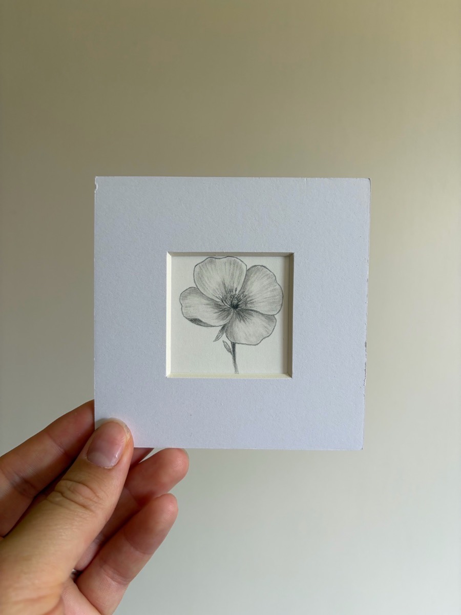 Flower drawing - 4x4 inch mounted art