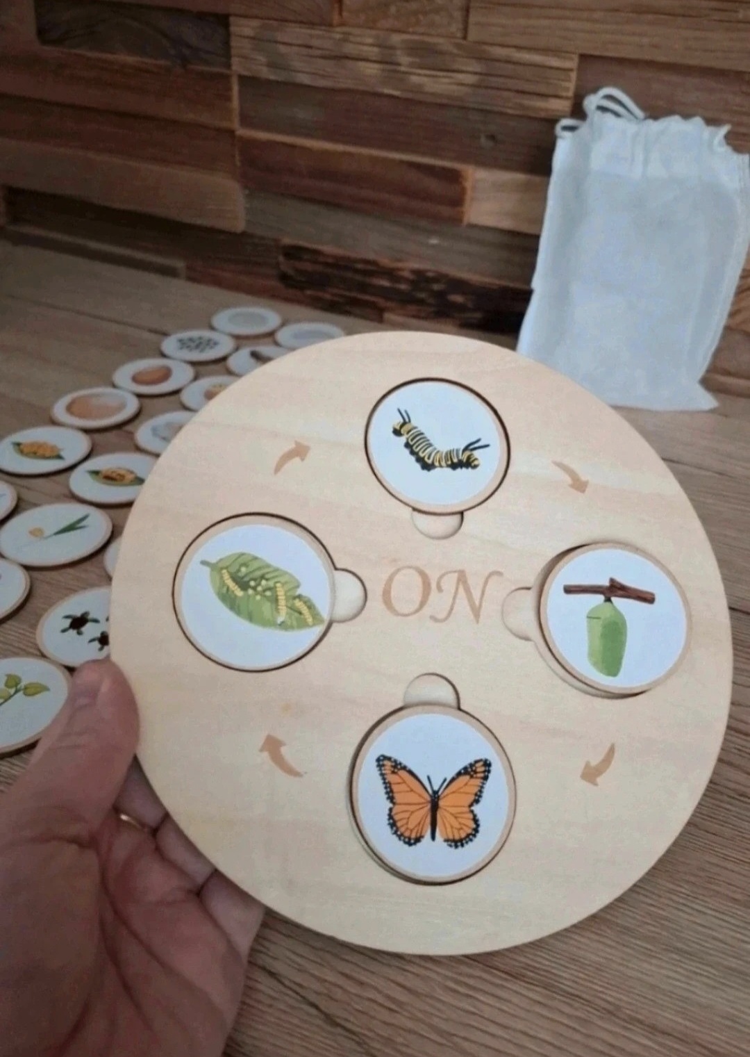Wooden life cycle educational set