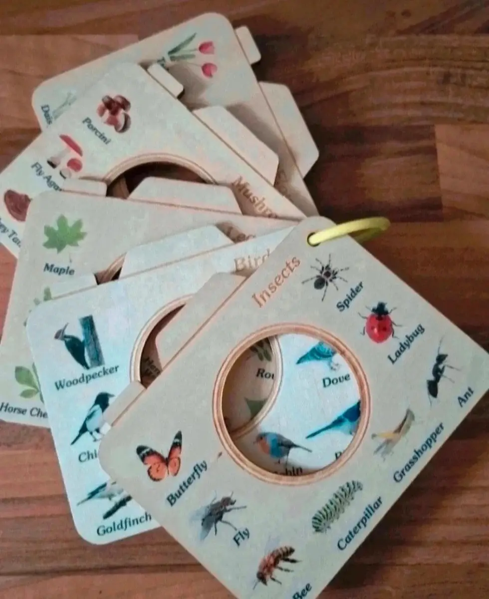 Wooden educational boards set for children