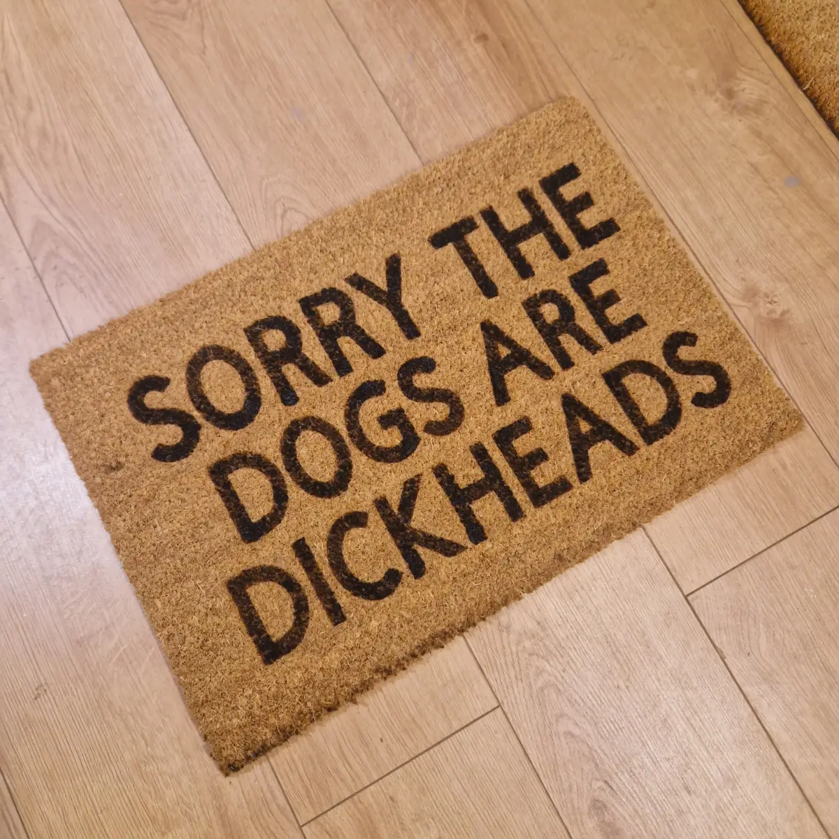 Sorry the dogs....