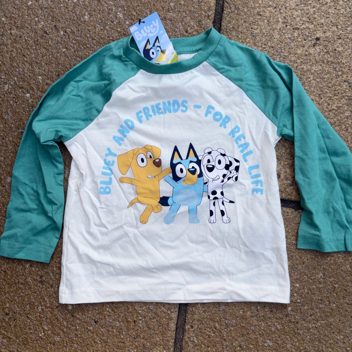 Age 2-3 years long sleeve cotton Bluey & friends top