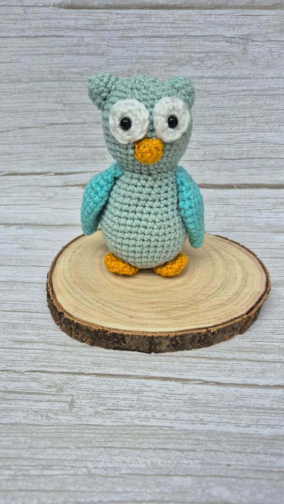 Handmade Mint Crochet Owl Shelf Decor 🦉