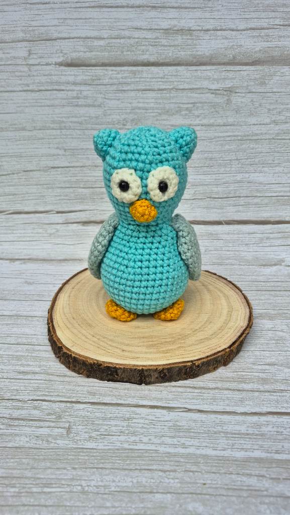 Handmade Turquoise Crochet Owl Decoration 🦉