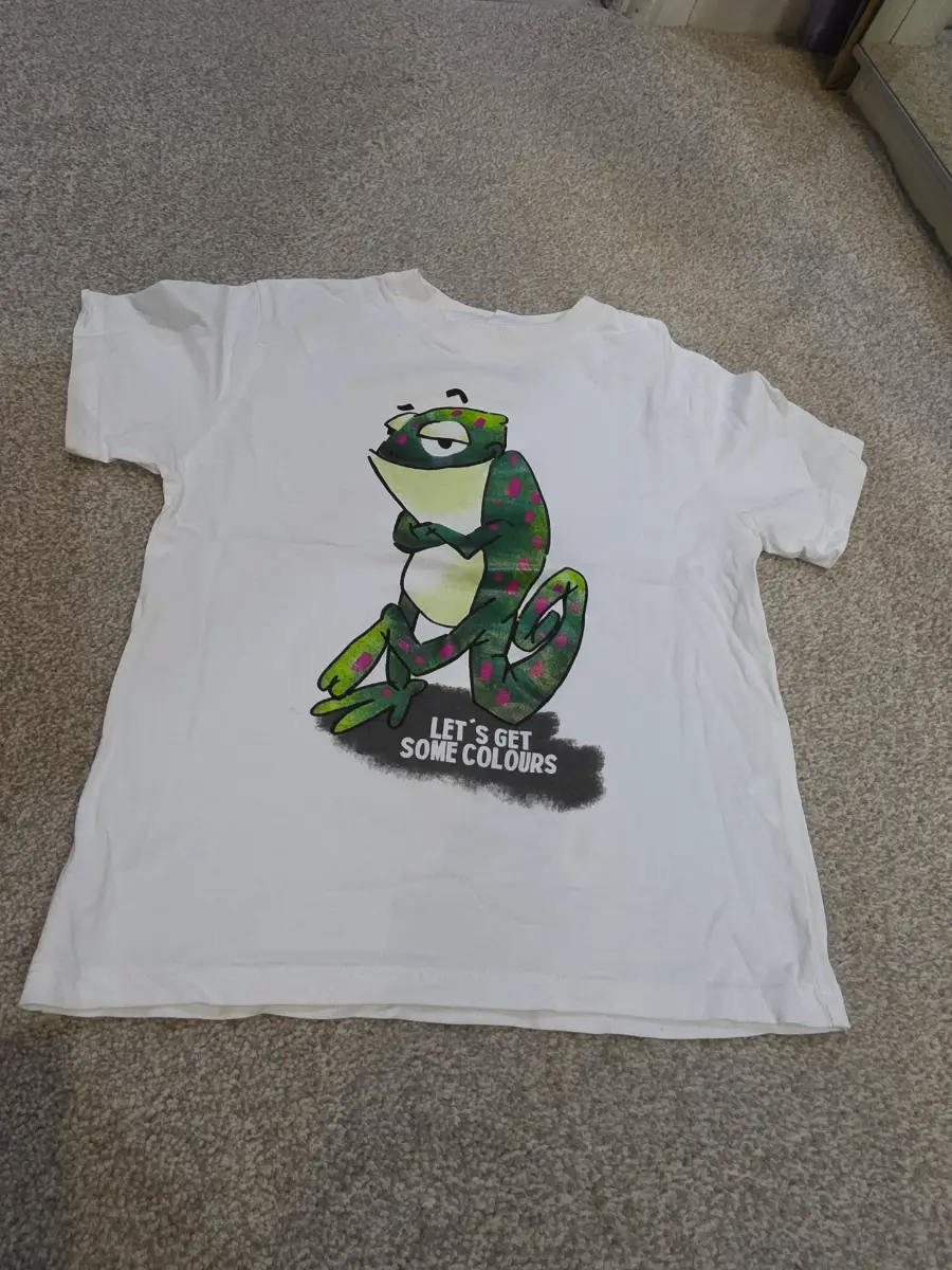 Zara print t-shirt,  size 4-5 years