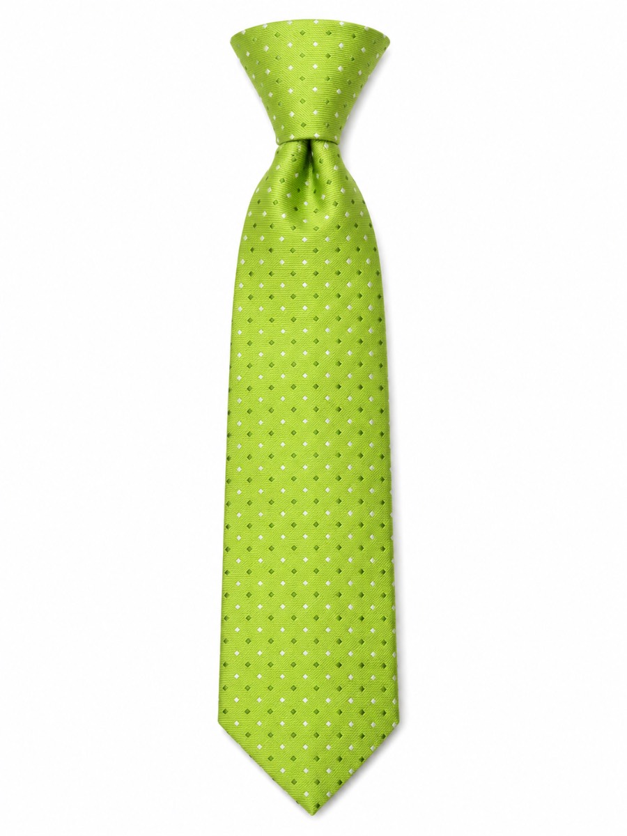 Premier PR768 Lime Green Fashion Tie Men’s One Size Formal Business Wedding New
