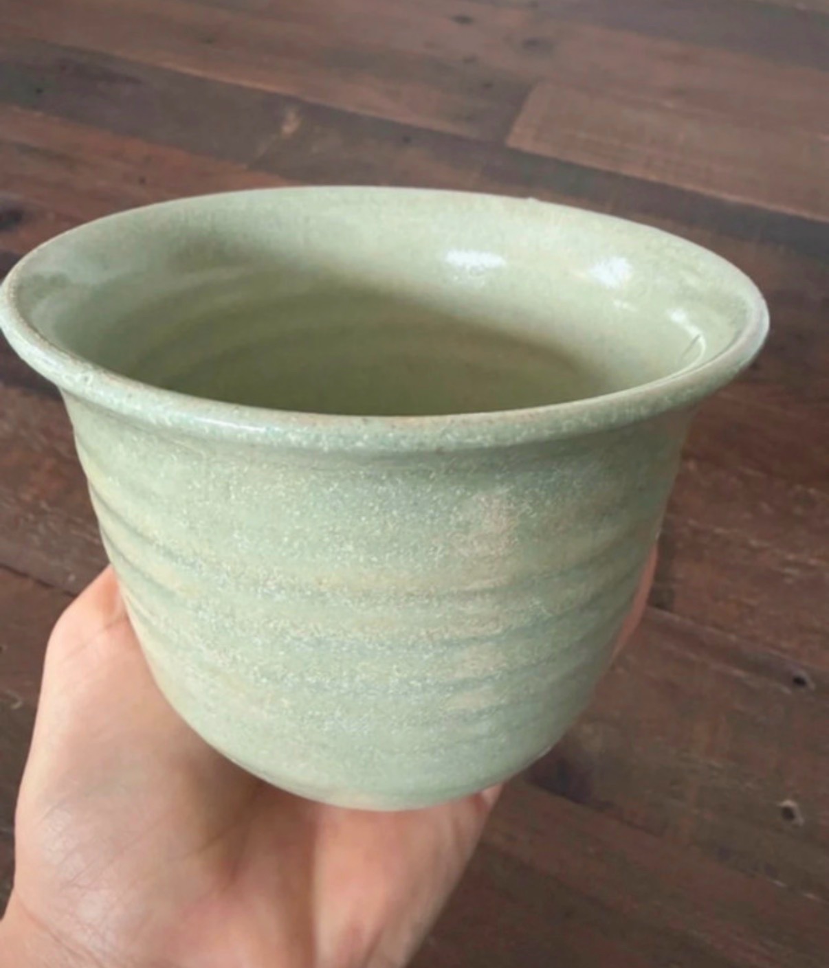 Small cute green plant pot