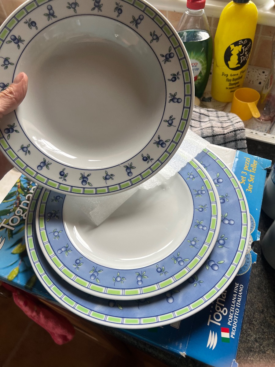 Tognana italian porcelain dinner set BNIB 12 piece