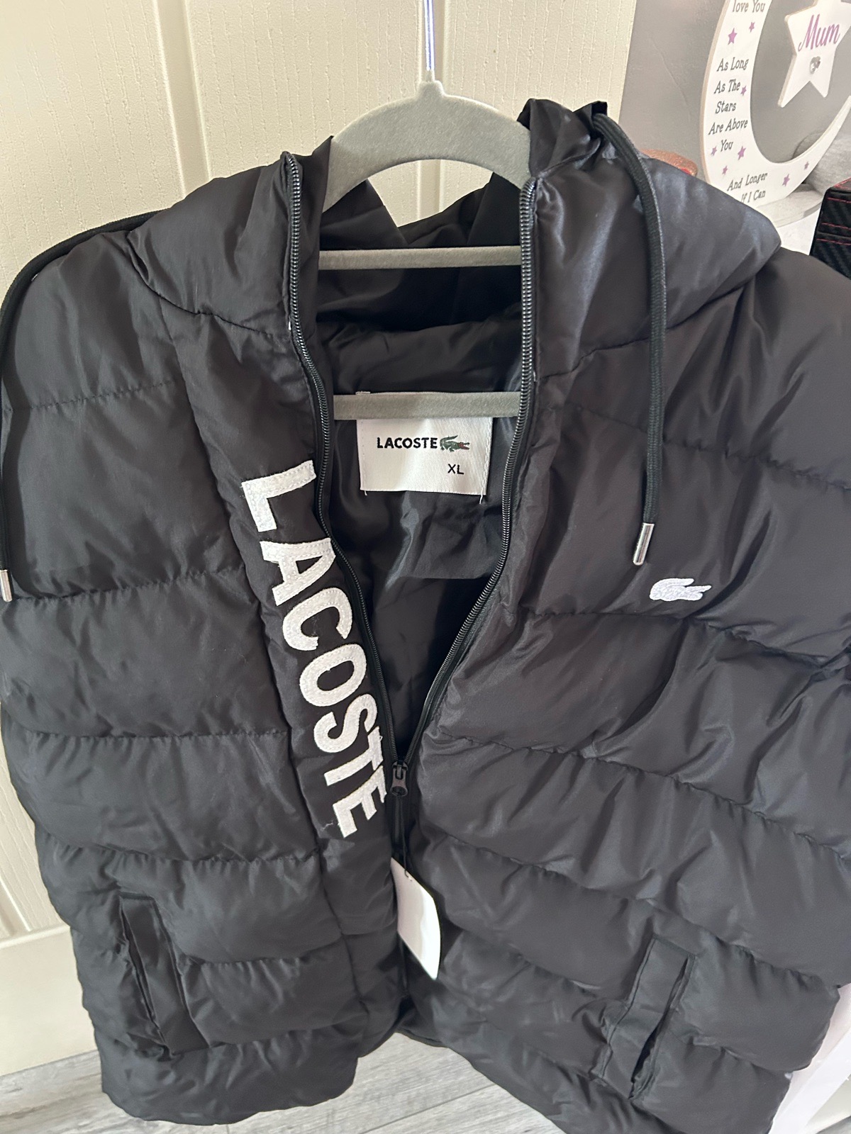 Lacoste Gilet, Large