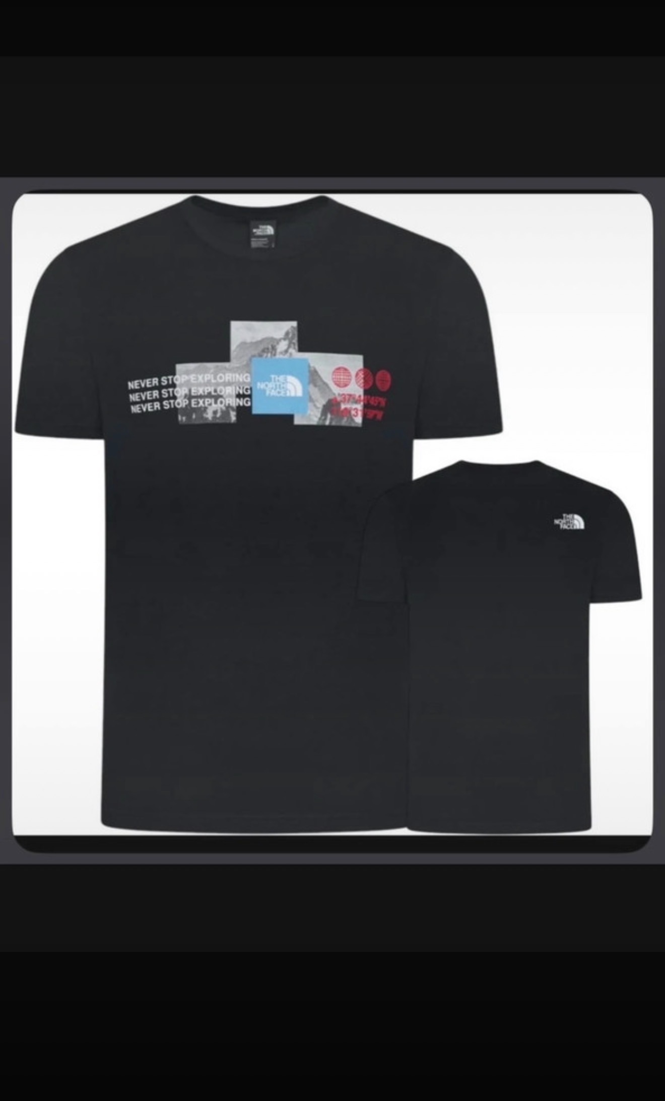 THE NORTH FACE MOUNTAIN FRONT TEE
