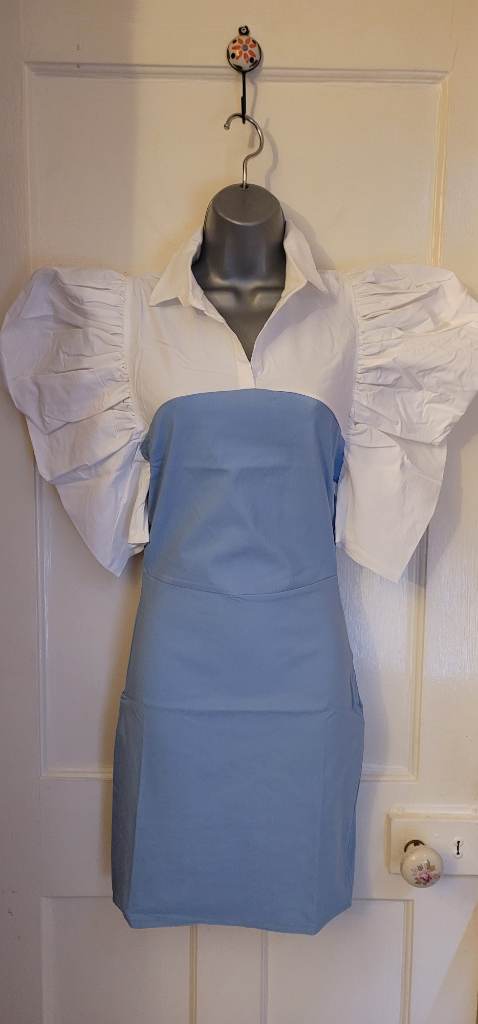 Blue and white elegant dress