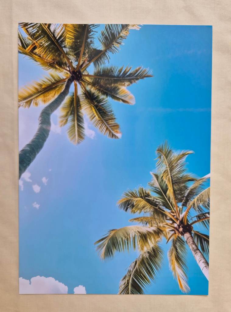 Palm three in the sun Wall Art