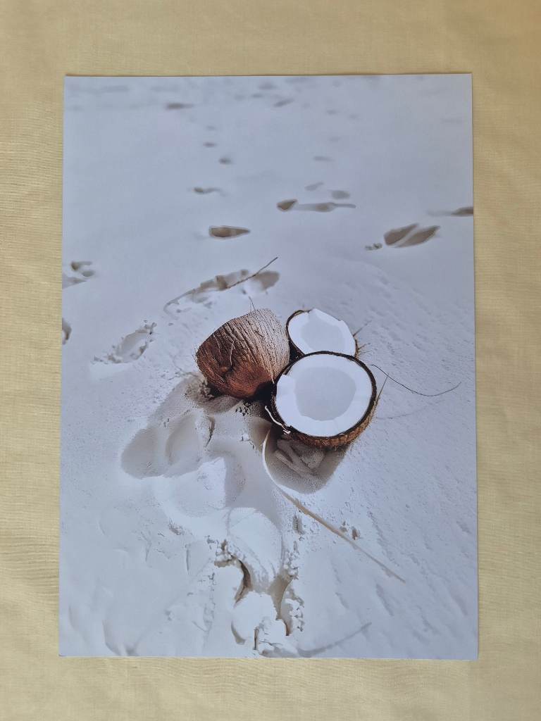 An artistic print featuring mature coconuts
