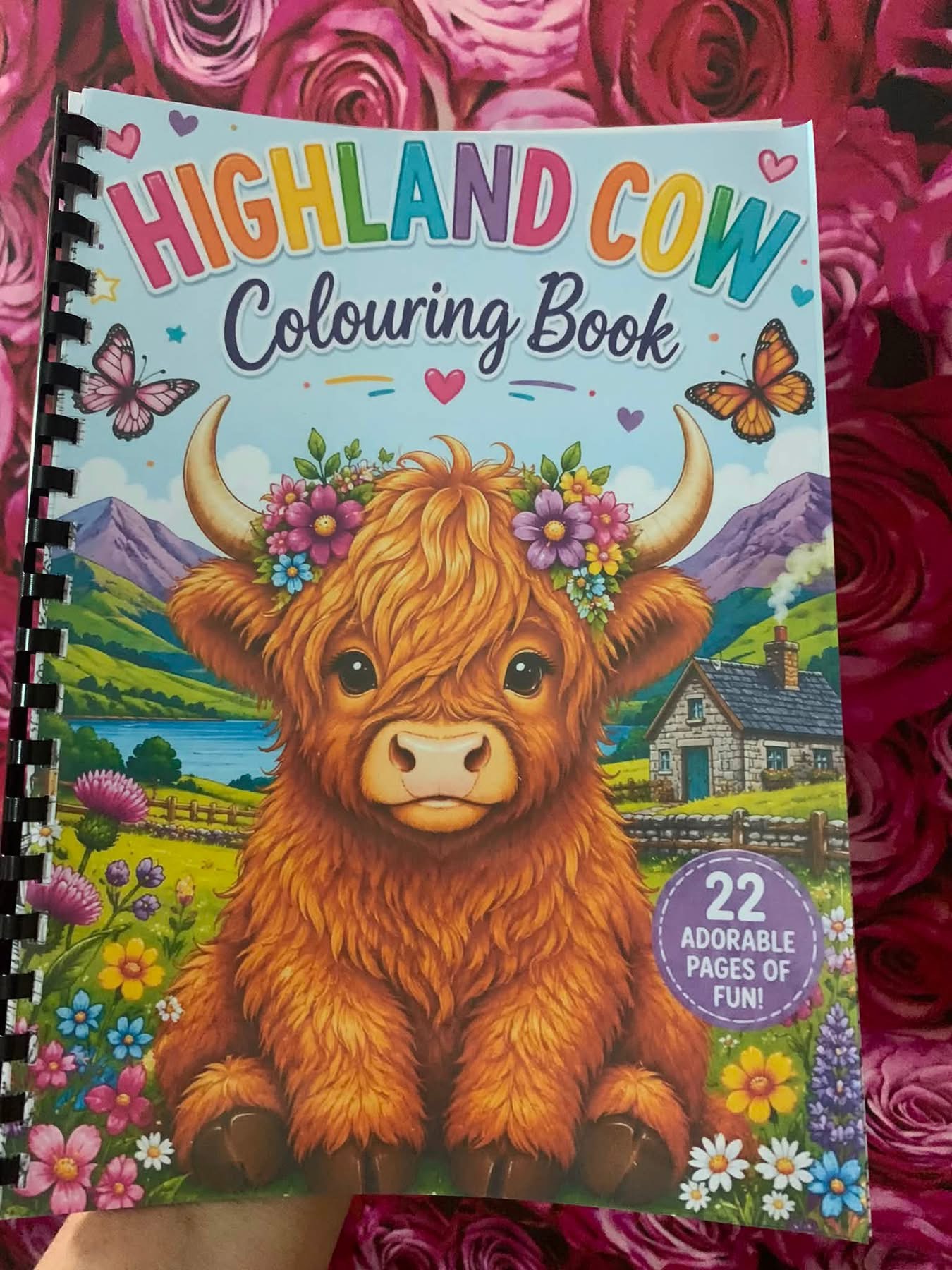 Highland cow colouring book