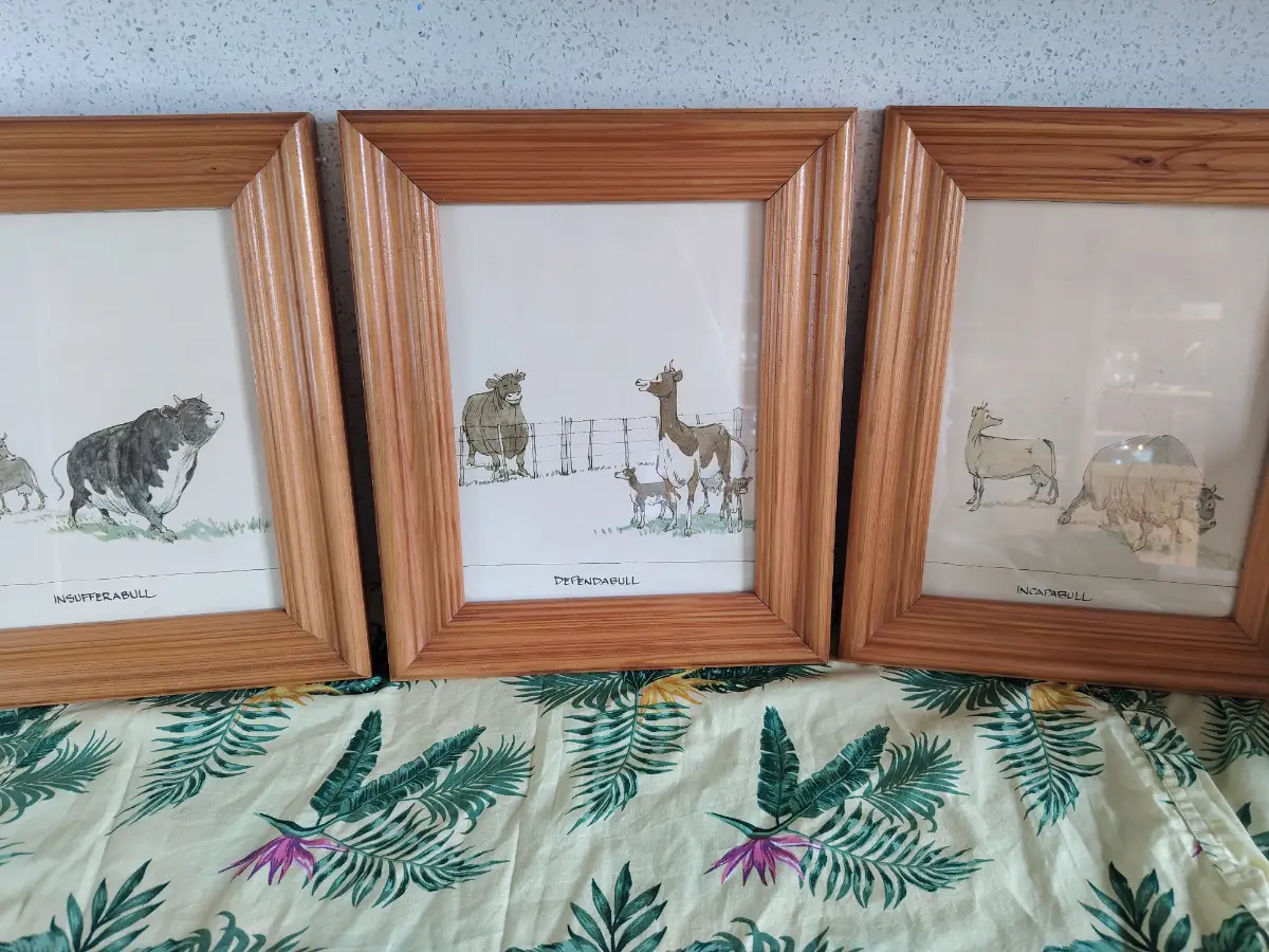 3 X The Bull Pen prints vintage A4 size in line frames