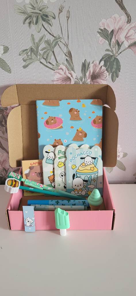Small stationary bundle Sanrio