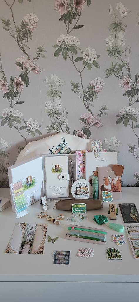 Guinea pig stationary bundle