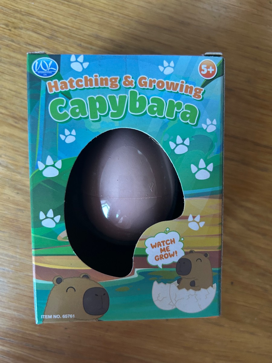 Brand new- hatch and grow Capybara egg Novelty kids toy