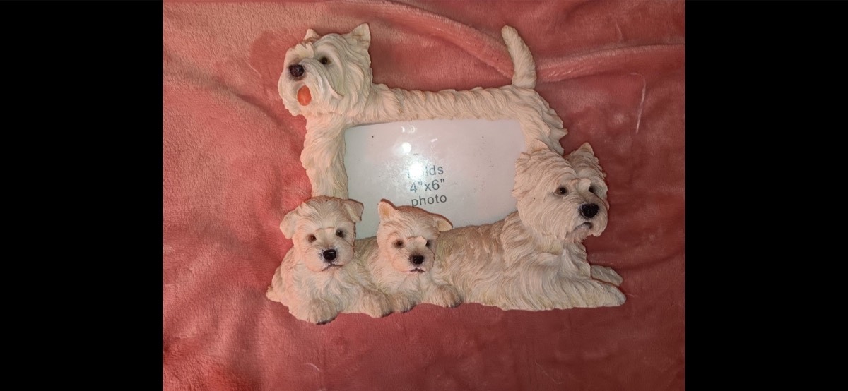 Beautiful vintage Westie photo frame cute with puppies and adult dog