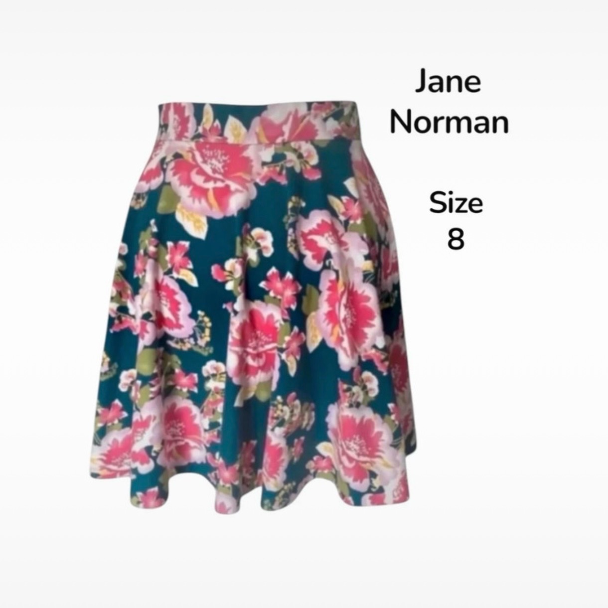 Jane Norman Blue & Pink Floral 'soft girl' coquette Skater Skirt - Labelled UK 10 (Best Fits UK 8)