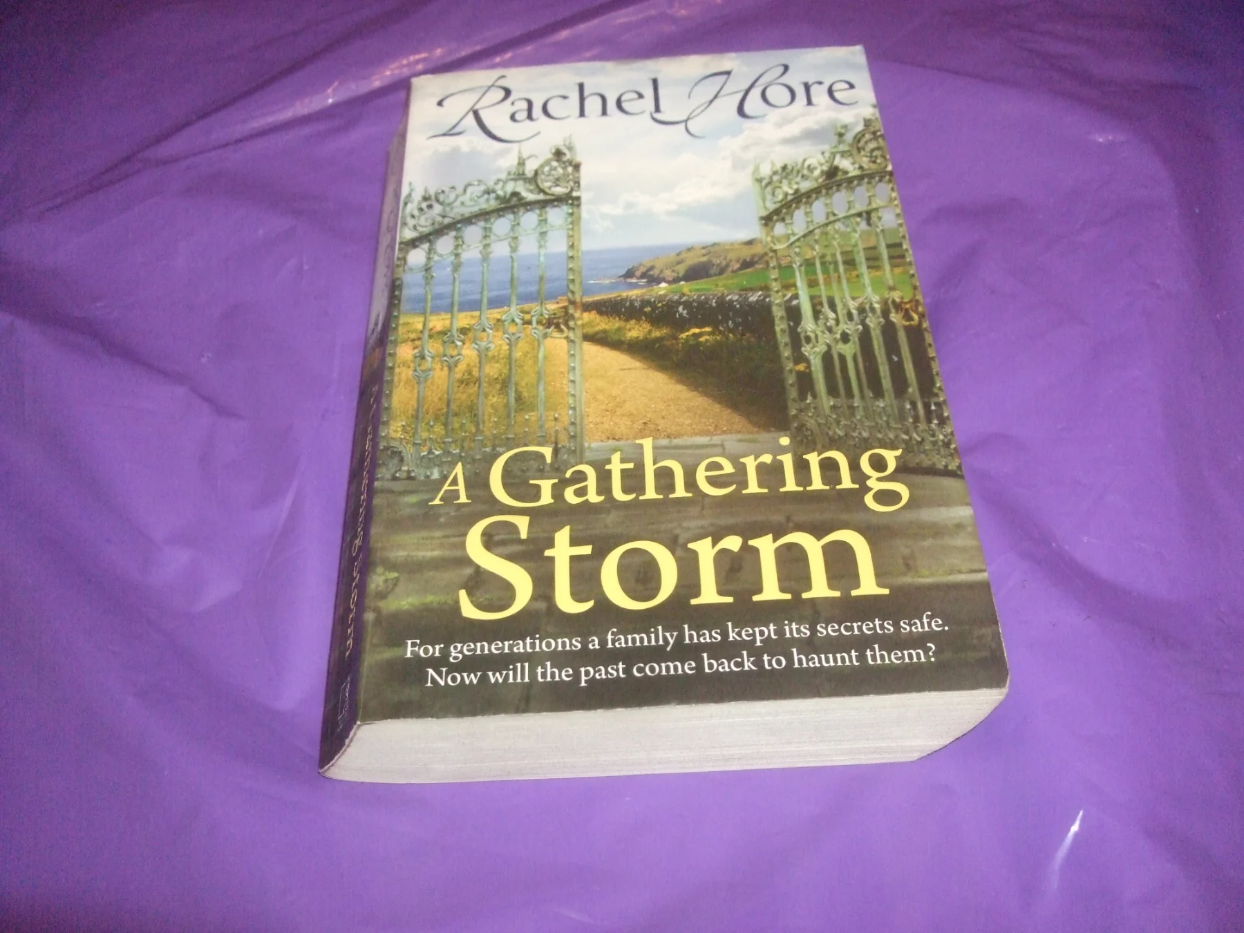 A Gathering Storm By Rachel Hore PB Book
