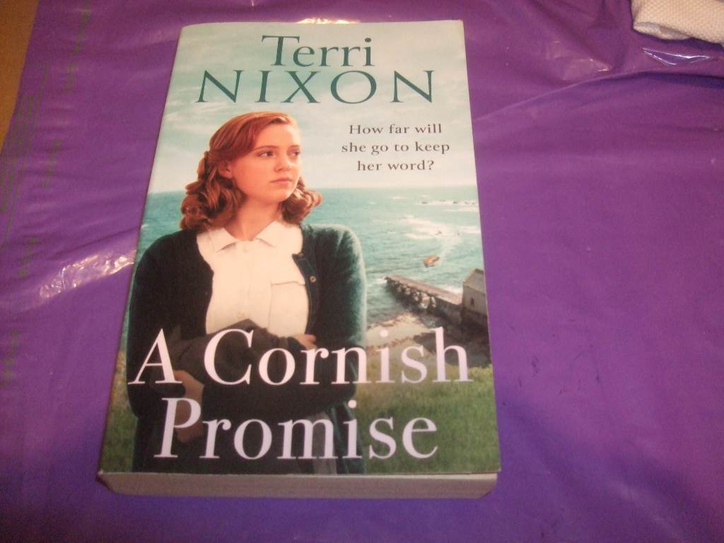 Terri Nixon - A Cornish Promise