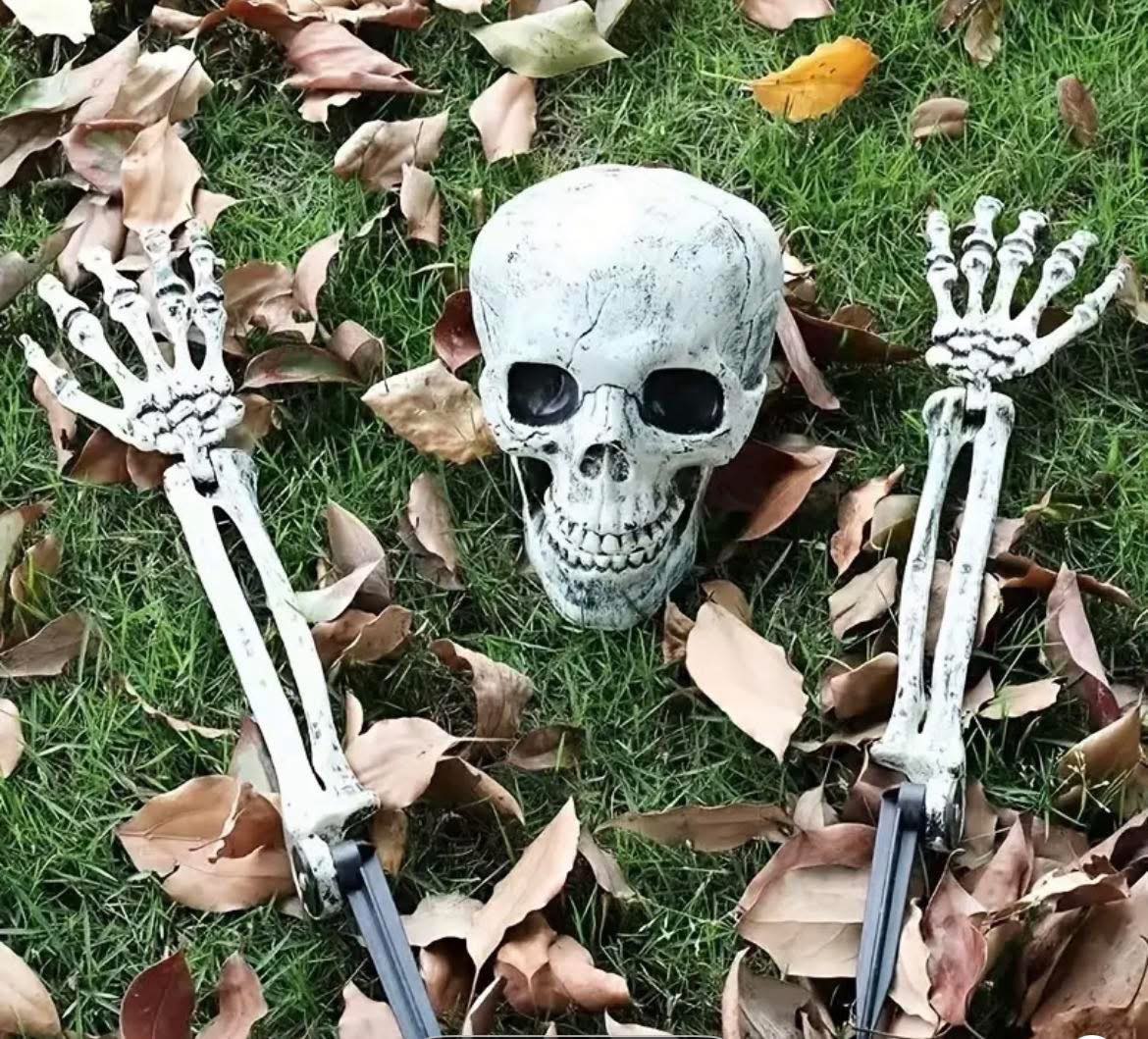 Garden skeleton