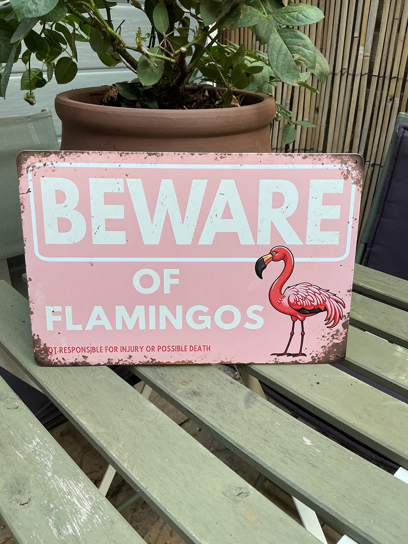 Beware of Flamingoes