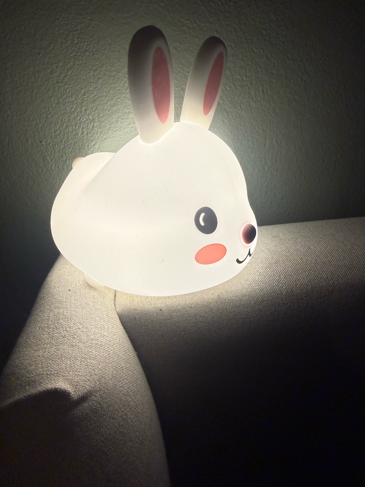 Bunny light