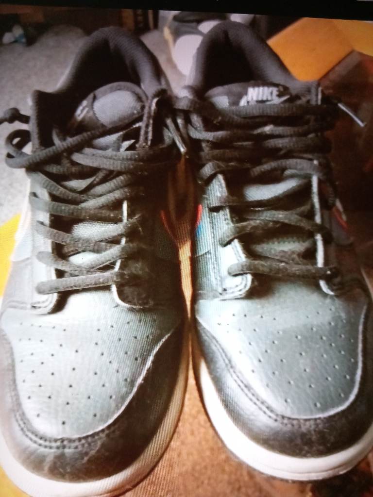 nike dunk low