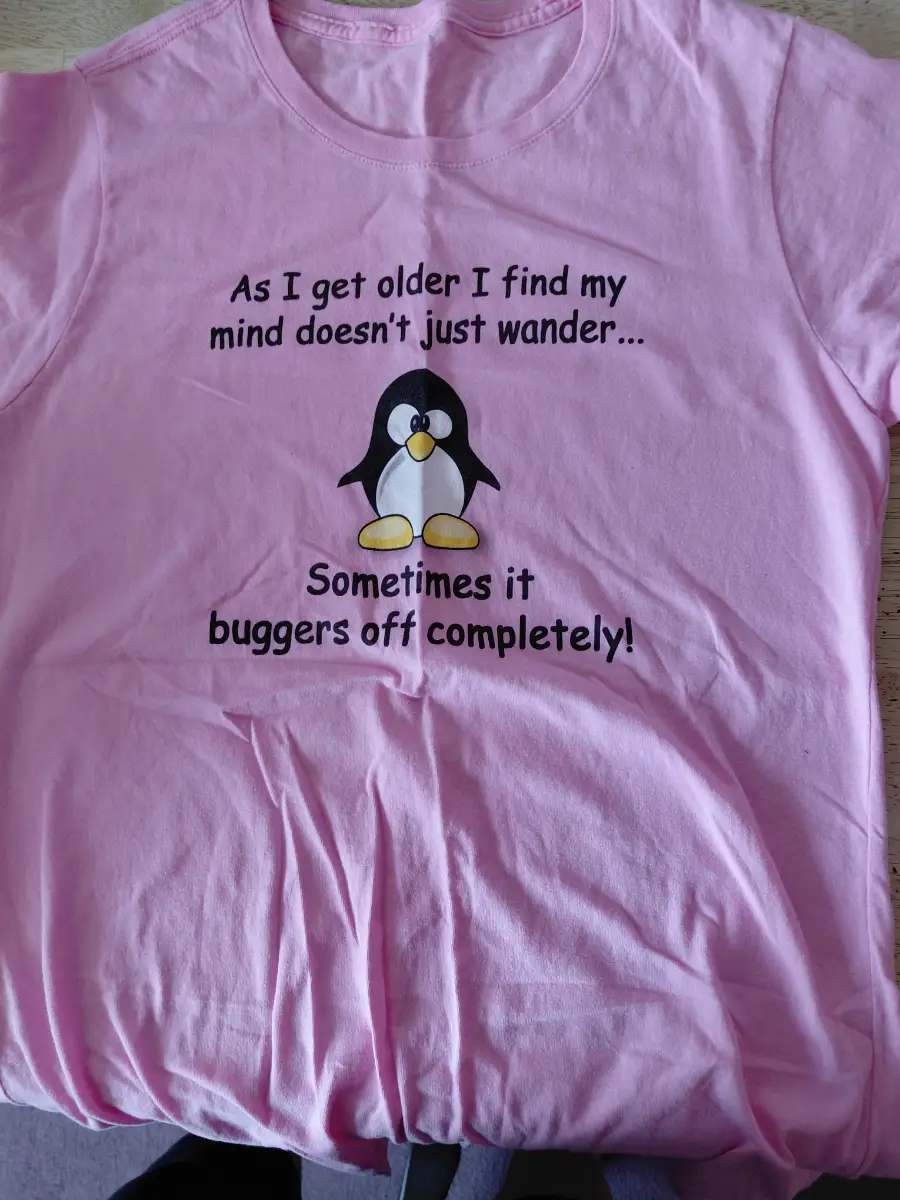 pink teashirt with funny saying