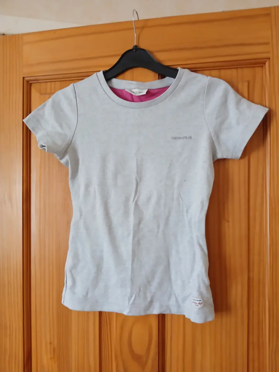 Grey Olympus t-shirt