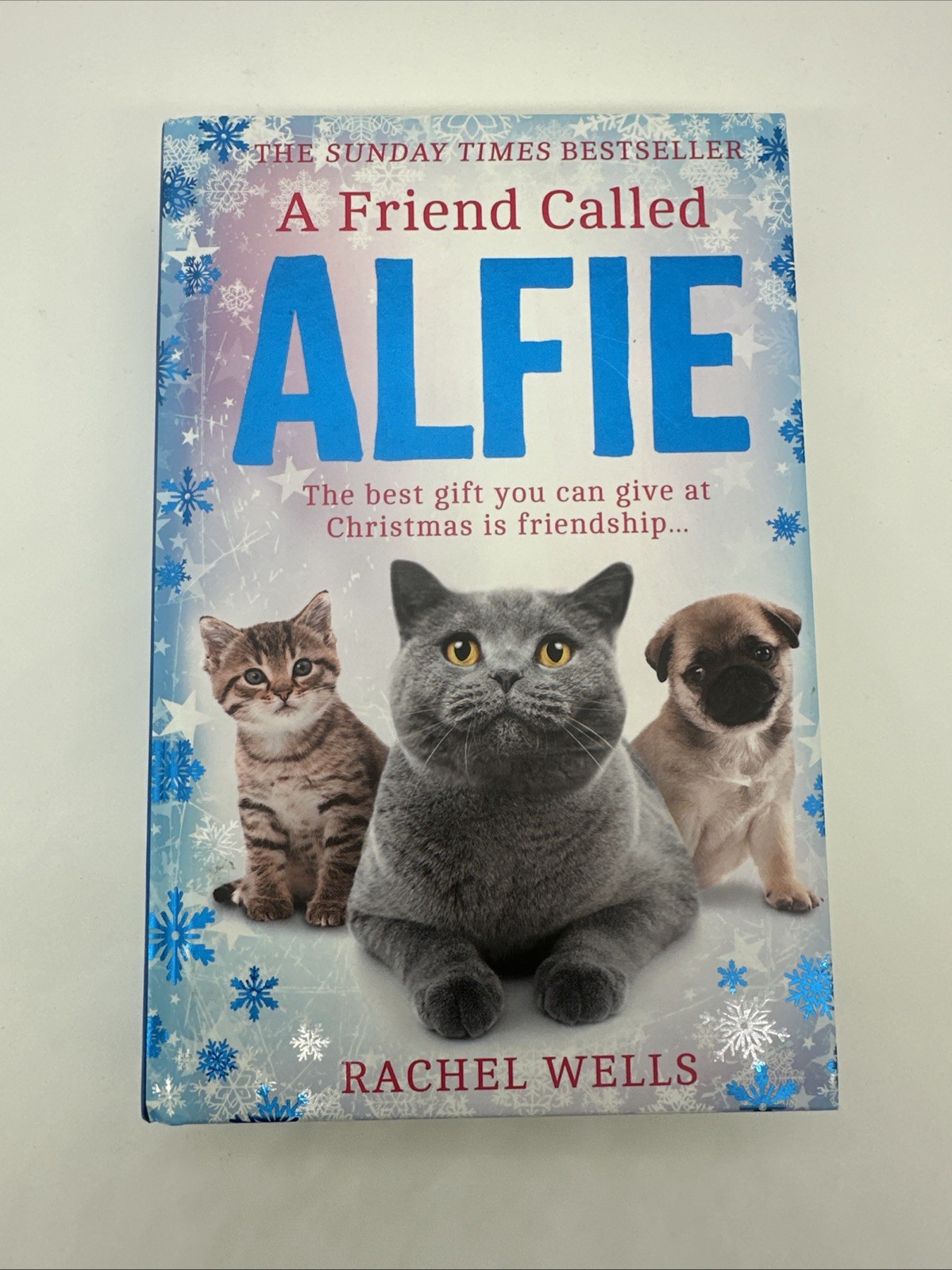 A Friend Called Alfie by Rachel Wells Hardback 9780008483715 Free Shipping