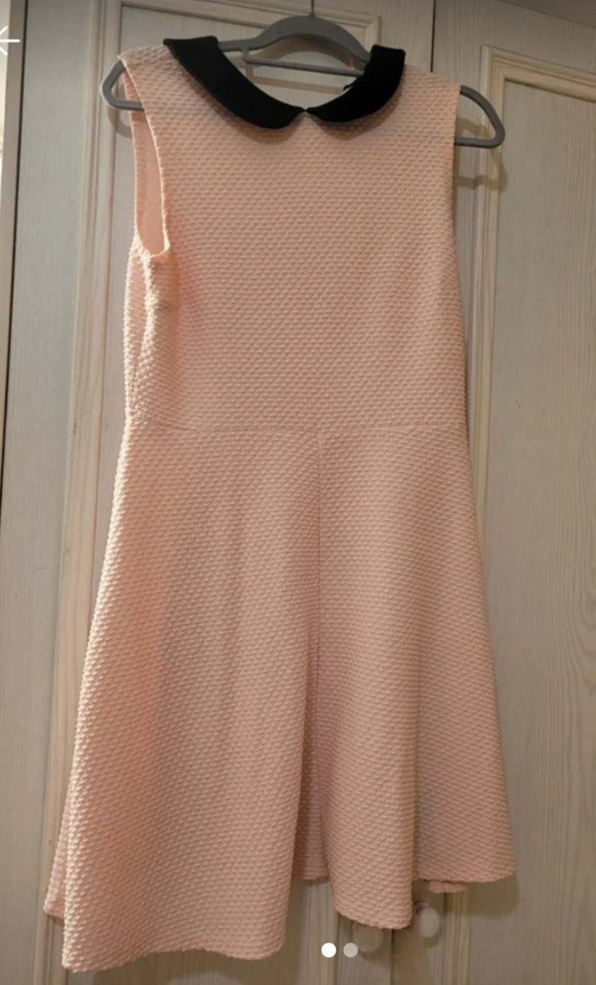 Dorothy Perkins skater style dress