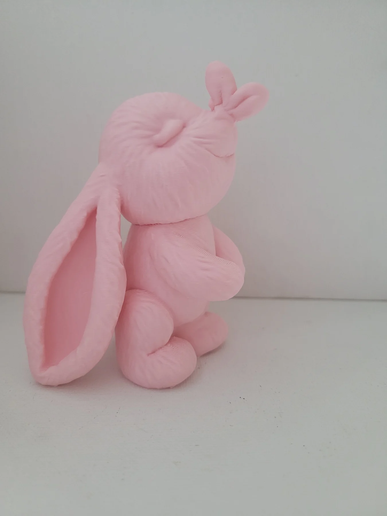 Cute bunny with butterfly