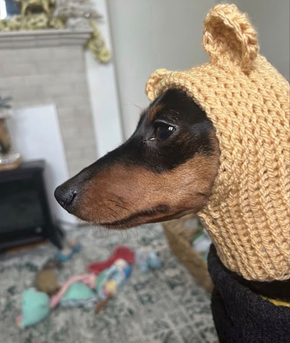 Beige Dog Snood fits up to 28cm head circumference