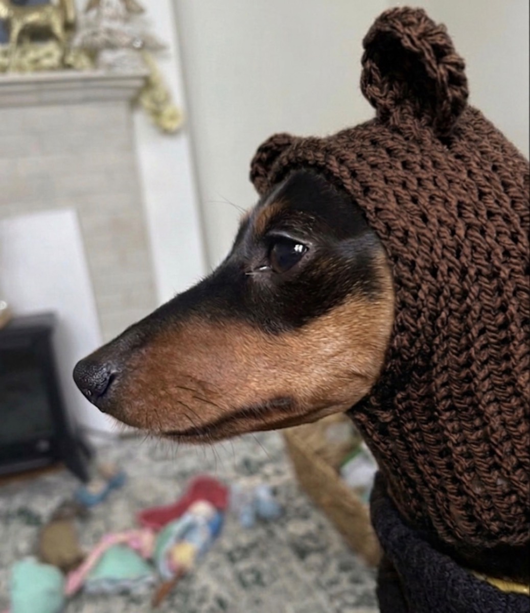 Brown Teddy Snood fits up to 34cm head circumference