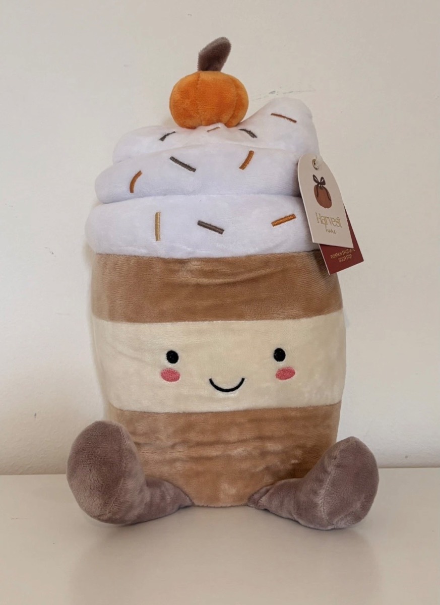 B&M Harvest Home Spice Latte Doorstop Brand NewAutumn Edition