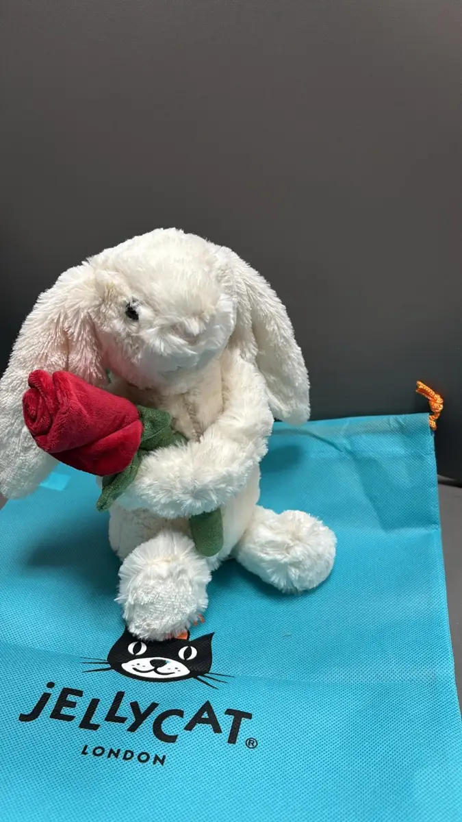 Cute Plush Bunny Holding Rose, Soft Stuffed Rabbit Teddy Gift for Valentine's & Birthdays