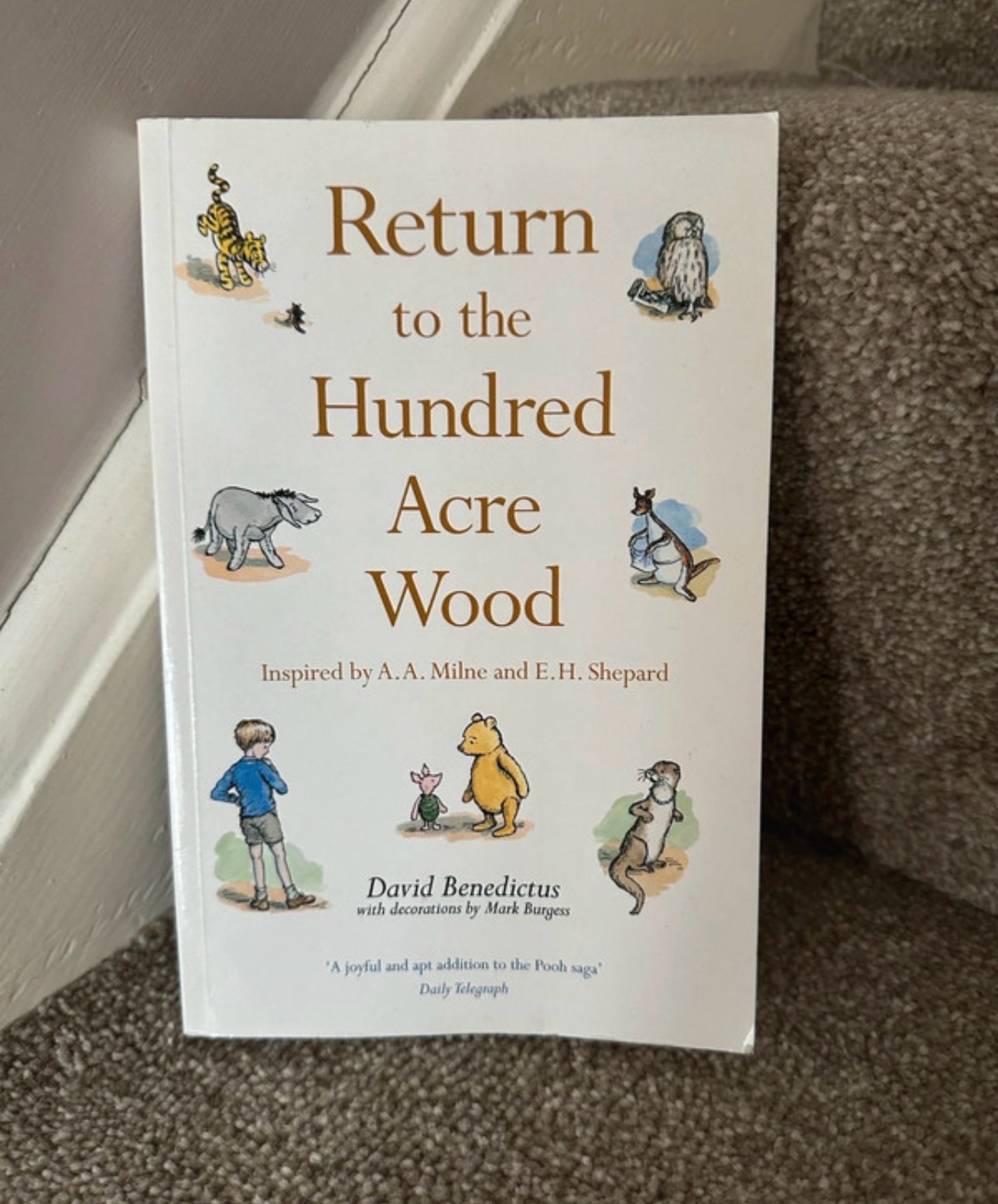 Return to the hundred acre wood Winnie the poo book