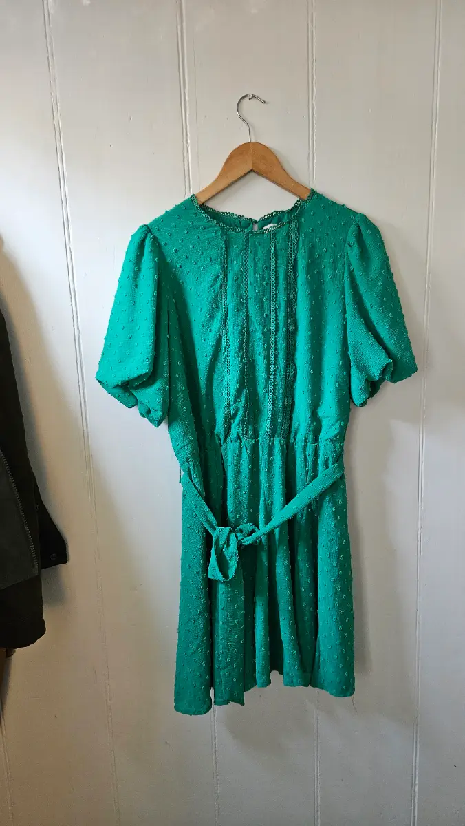 Love & Roses Green Embellished Embroidery Puff Sleeve Knee Length Dress Size 16