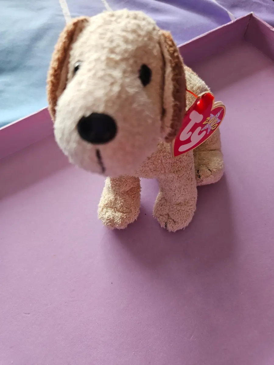Ty beanie Rufus