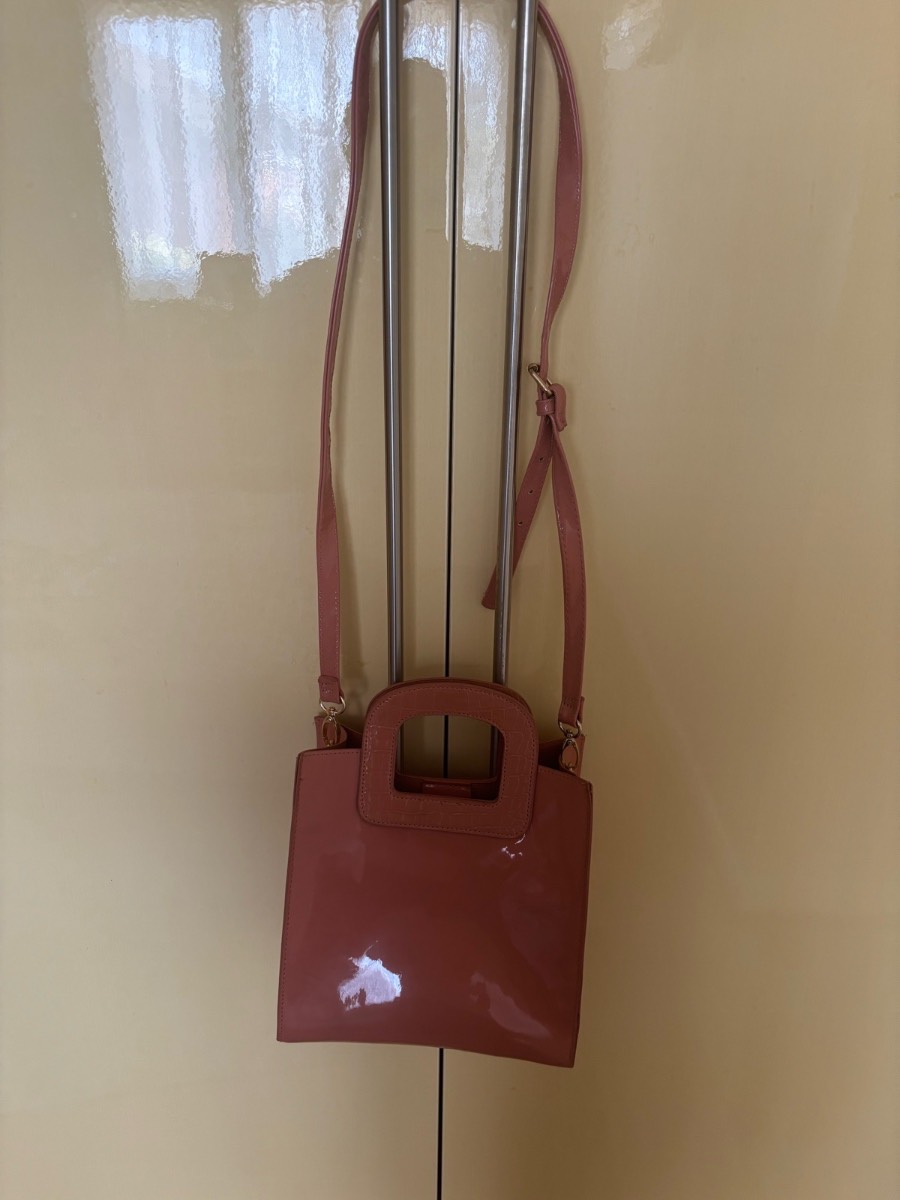 Deep nude/ salmon pink bag