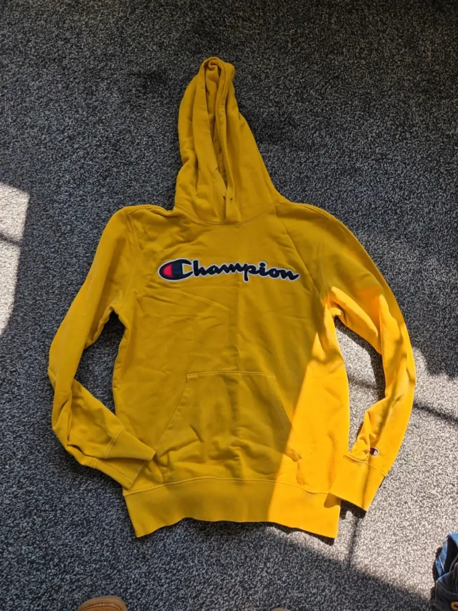 Champion hoodie