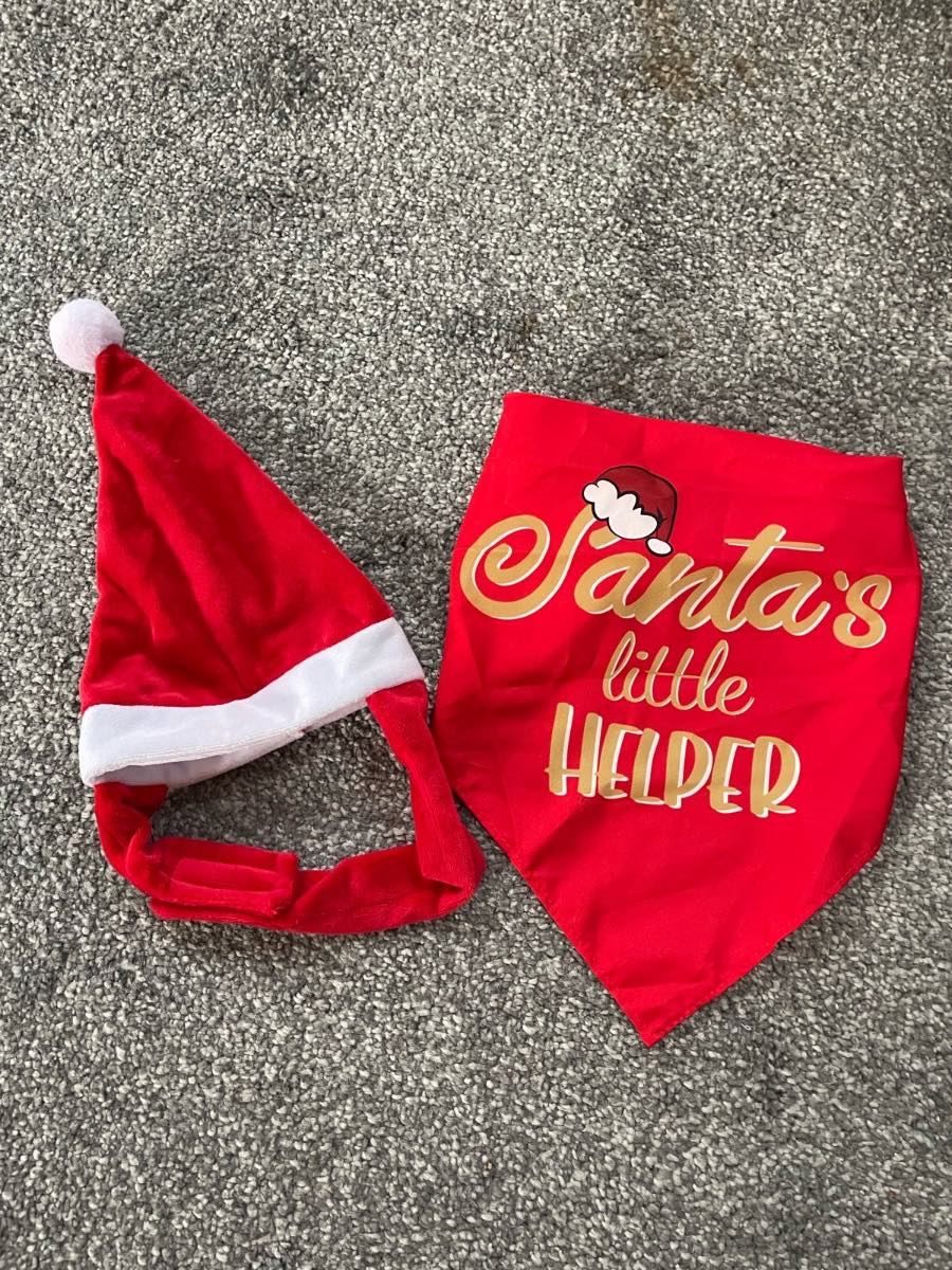 Dog Christmas items