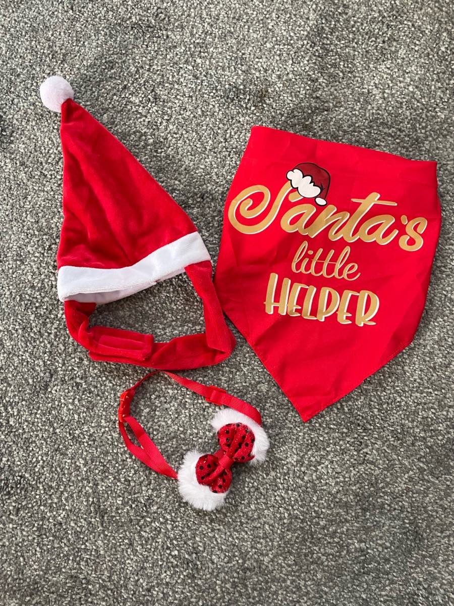 Dog Christmas bundle