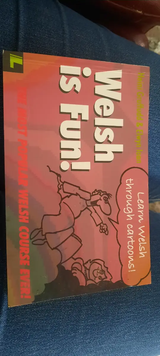 Welsh is Fun! Book